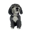 Bobble Head de perro de razas nativas vulnerables