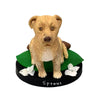 Bobblehead personalizado para mascotas - Perro marrón