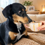 Taza de café personalizada de perro y gato con figura de mascota hecha a mano