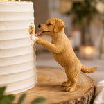 Adorno Gracioso de Perro Comiendo Pastel - Topper para Pastel de Perro